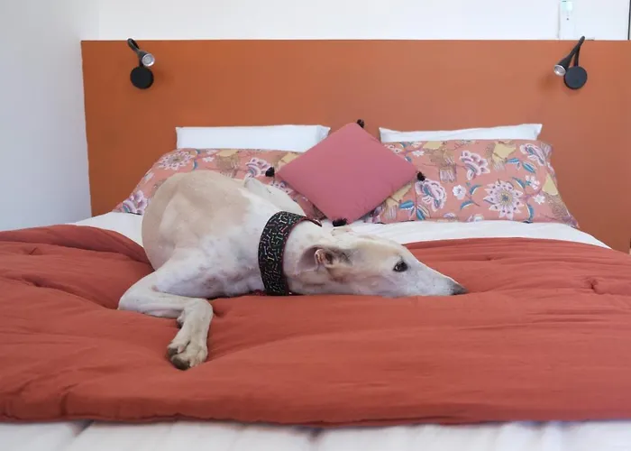 A L'ombre Des Remparts *