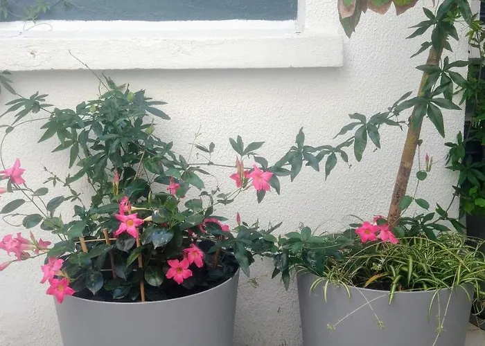 A L'ombre Des Remparts Apartment *